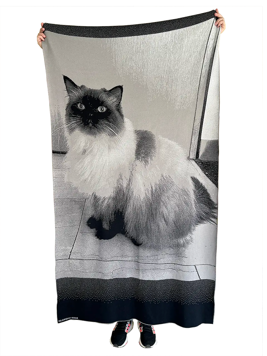 Relooped by You gebreide deken met foto is de perfecte manier om je dierbare momenten knuffelig dichtbij te houden! Op deze gebreide fotodeken staat een portret van onze kat. Kies je kleurencombinatie en personaliseer je fotodeken met je naam die linksonder in de zoom wordt gebreid. 